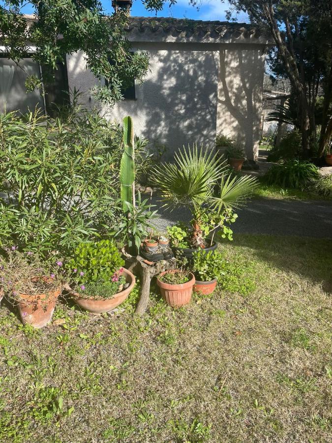 Appartamenti Su Pasiu Chia Bagian luar foto